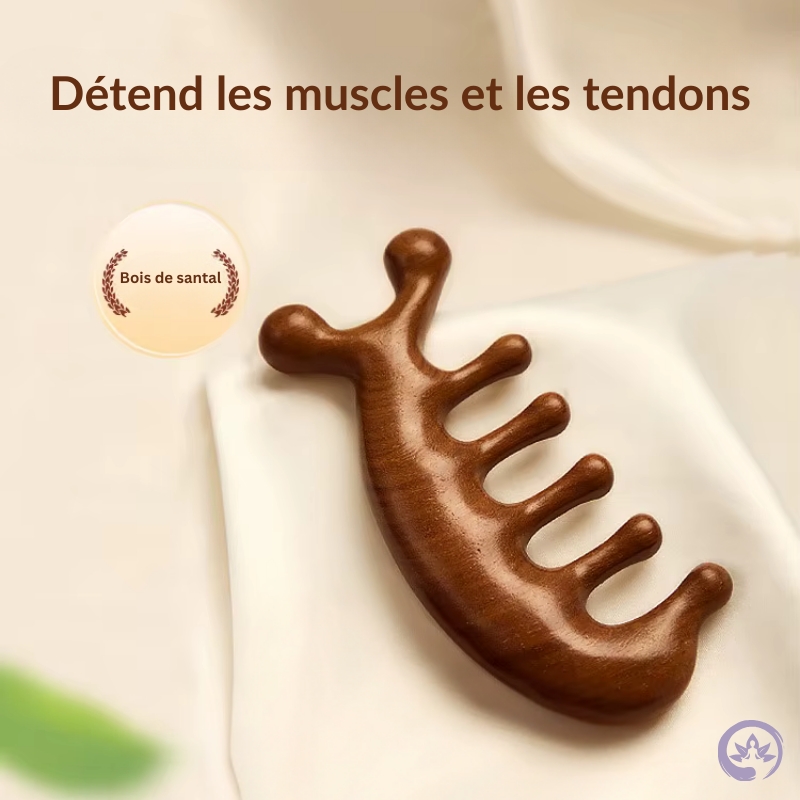 Masseur Méridien - Relaxation
