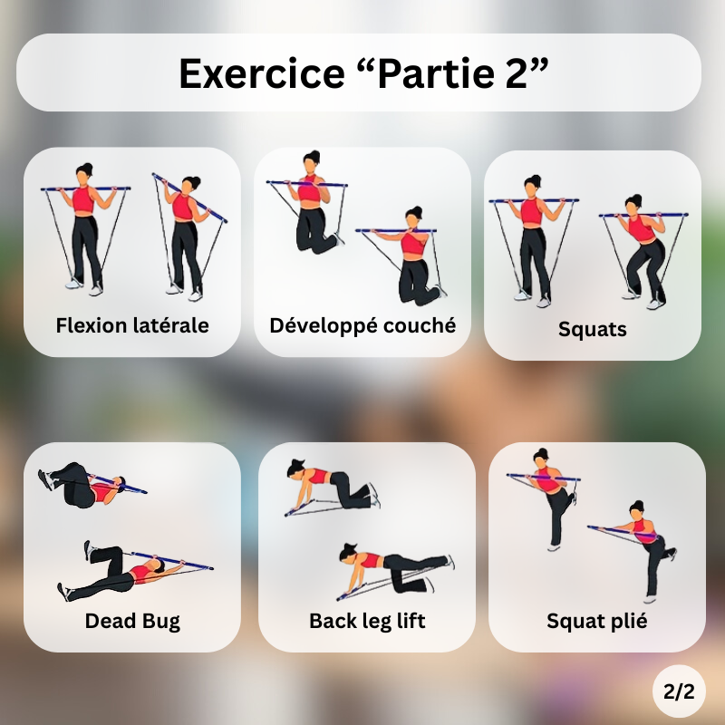 Barre de Pilates – Renforcez, Tonifiez, Alignez votre Corps