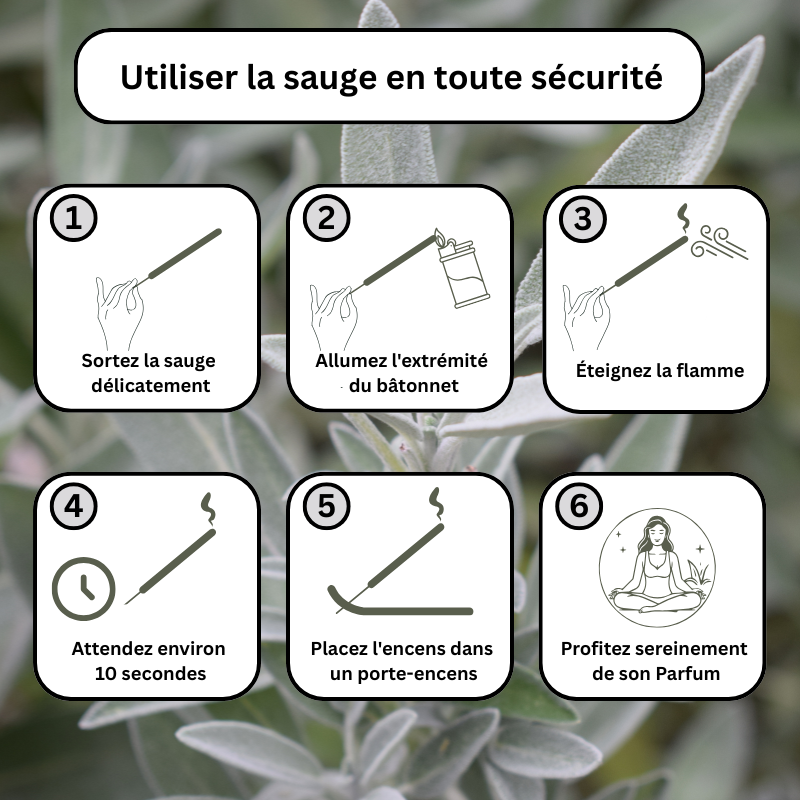 Encens Sauge Blanche – 50 Offerts pour 50 Achetés – Purification & Sérénité