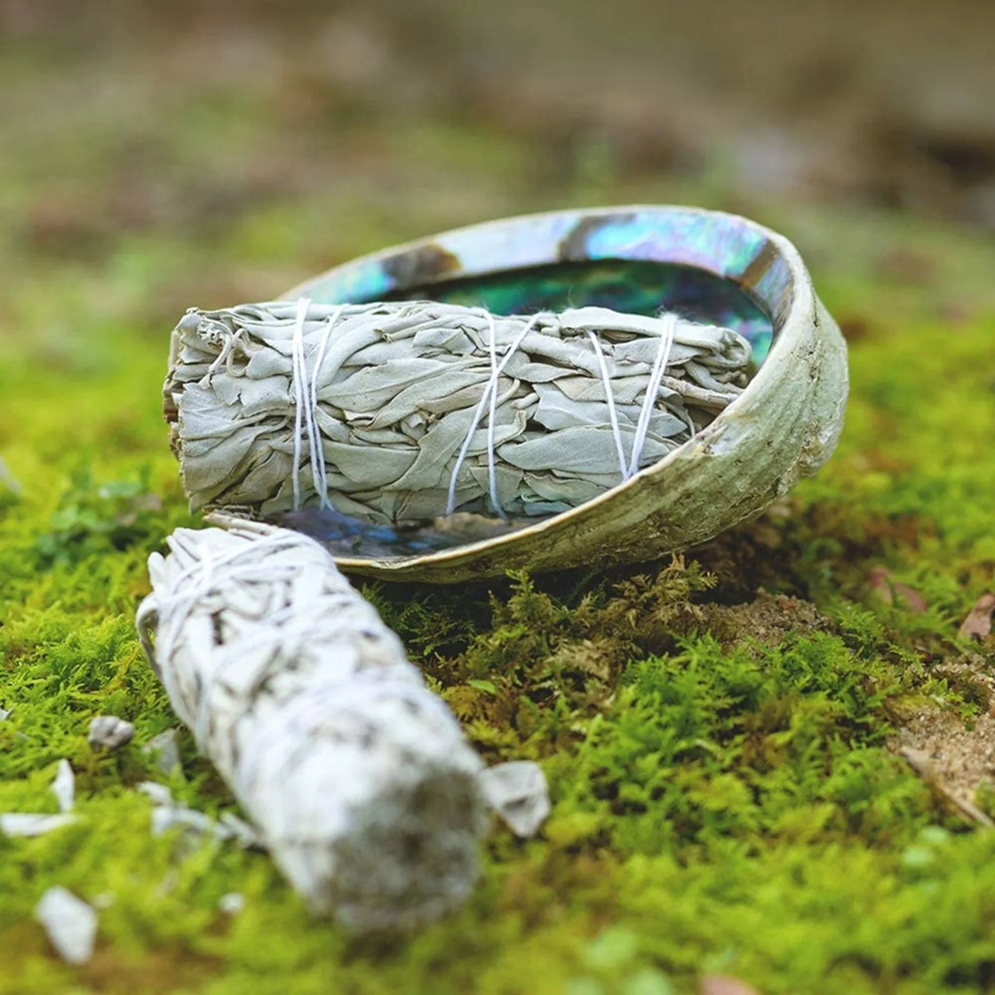 Bâton de Sauge Blanche – Purification, Clarté & Harmonie Intérieure